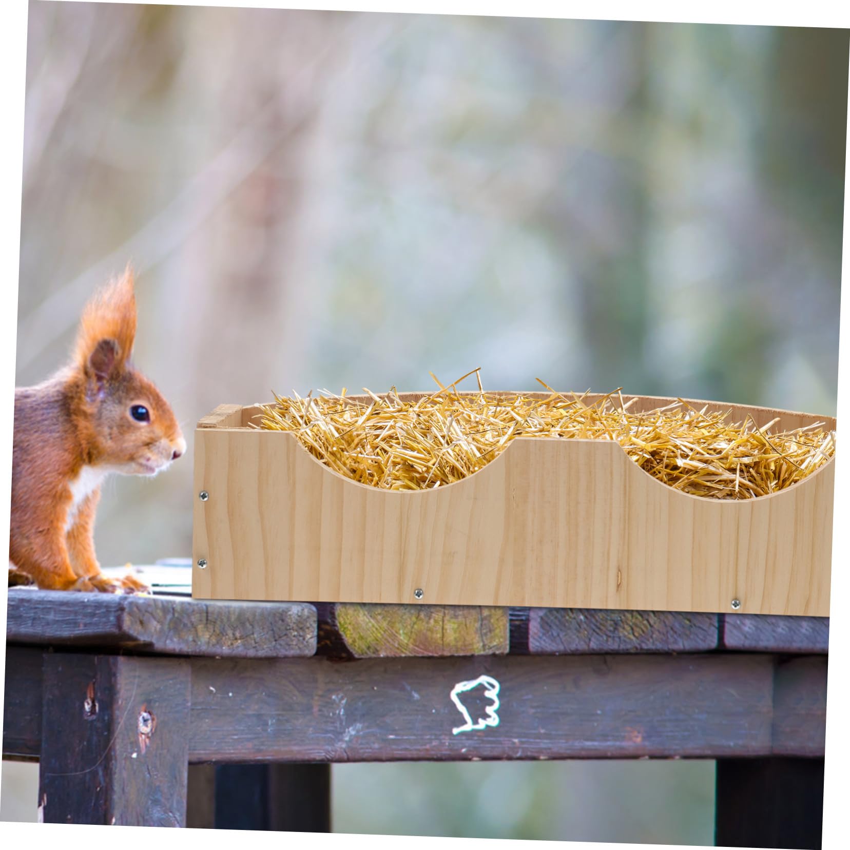 Gatuida Hängende Holz Futterraufe mit Rille und Fixator für Kaninchen und Meerschweinchen Großer Futterbehälter Einfach zu Befestigen und Sauber zu Halten