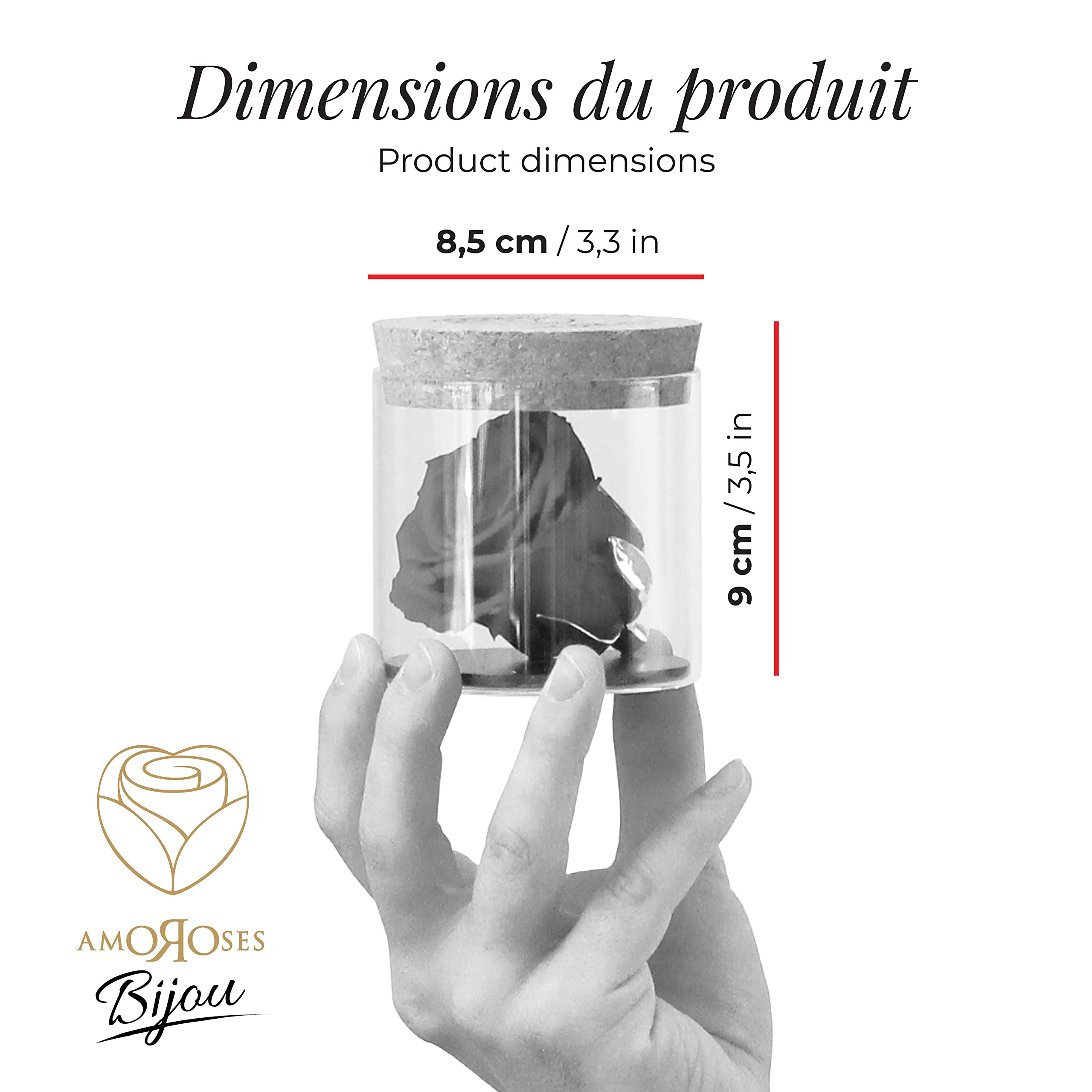 Amoroses Bijou - Rose éternelle stabilisée avec Calice plaqué Or 24K dans Un conteneur en Verre | Idée Cadeau