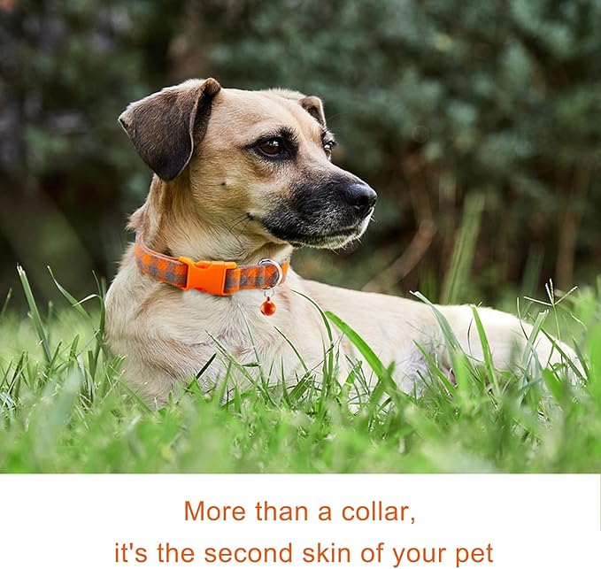 Collar de perro a cuadros con hebilla de seguridad ajustable miniatura 4