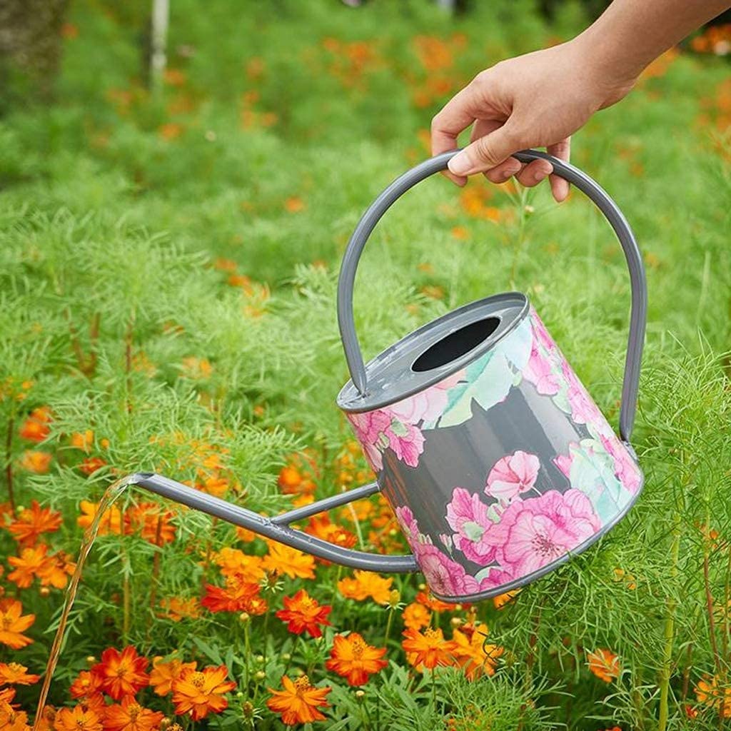 Lange Uitloop Gieter voor Tuin Gazon Huis Binnen en Buiten Metalen Gieter voor Plant Bloem 2000ml Gieter