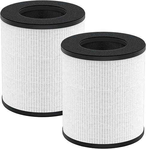 Paquete de 2 filtros de repuesto True HEPA compatibles con Tenergy Renair, Cool-Living CL-6070A, Beaba, Tredy TD-1300 purificador de aire, filtro de