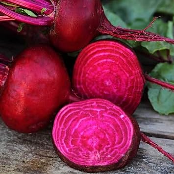 Sustainable Seed Company Crosby Egyptian Beet Seeds