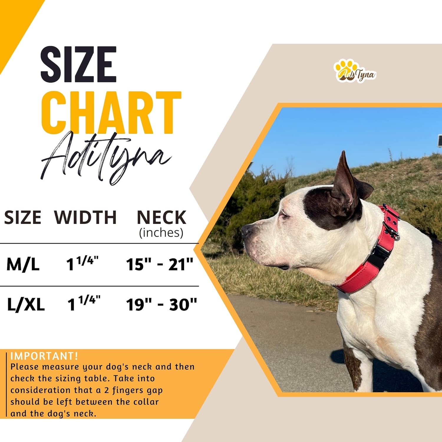 Red Leather Dog Collar for Large, and Extra-Large Dogs with Leather Dog Leash 6 ft