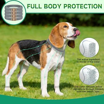 4 Pack Flea Collar for Dogs, 32 Months Flea and Tick Prevention for Dogs