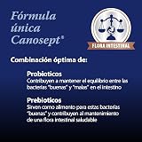 Ver la foto 3
