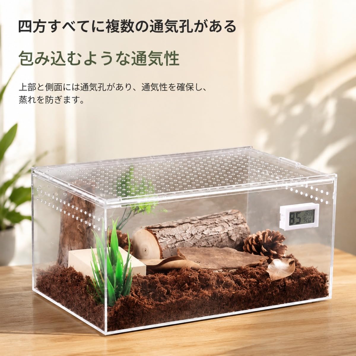 Amazon | AGTEA カブトムシ飼育ケース クワガタ・ヘラクレスオオカブト