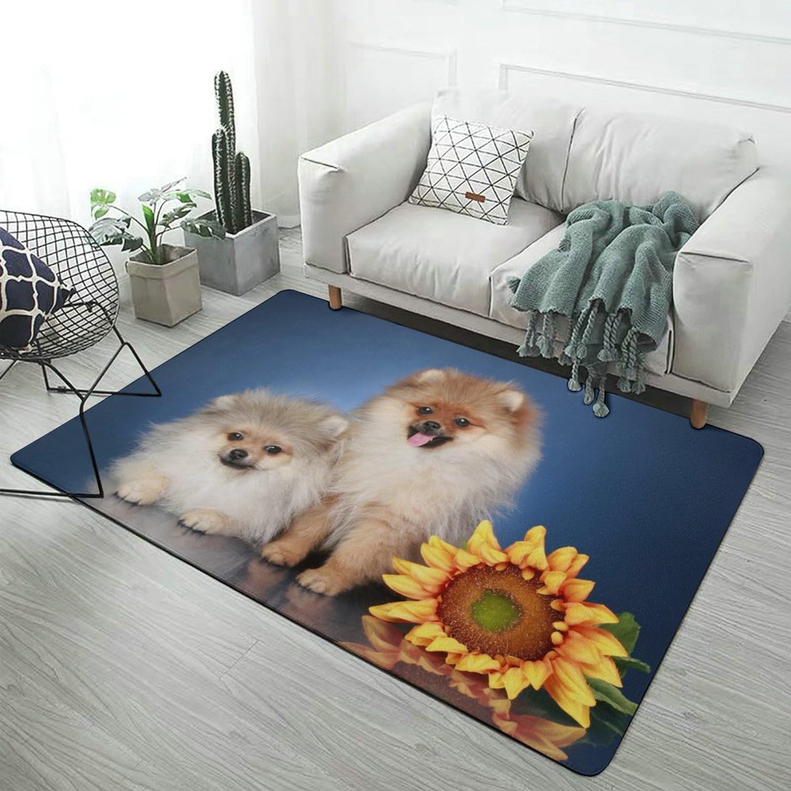 Amazon | カーペット ポメラニアン かわいい いぬ 犬 絨毯 ラグ