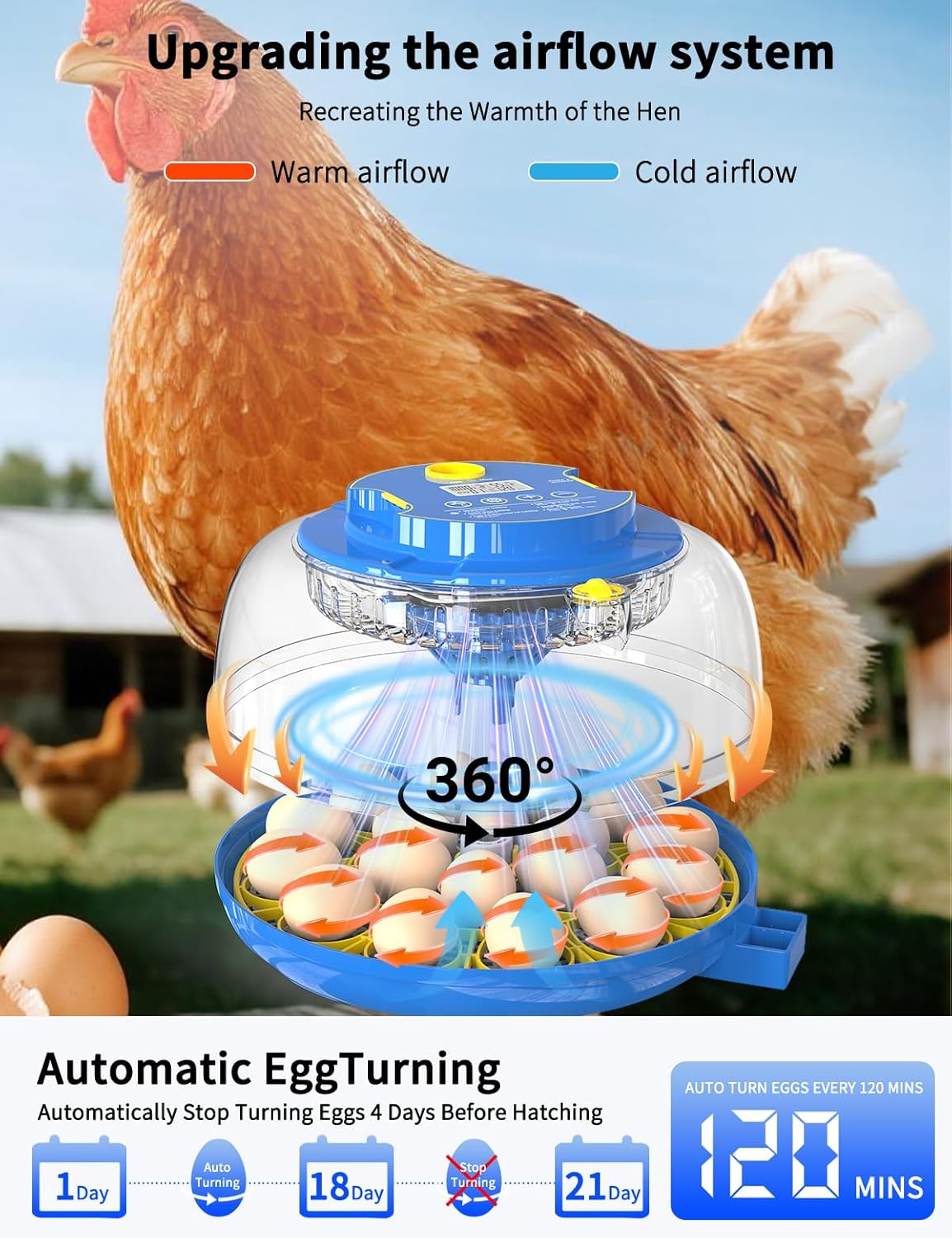 18-Egg 360° Panoramic Egg Incubator with Automatic Egg Turning and Humidity Control- Perfect for Hatching Chickens, Ducks, Quail & Other Birds (Blue)