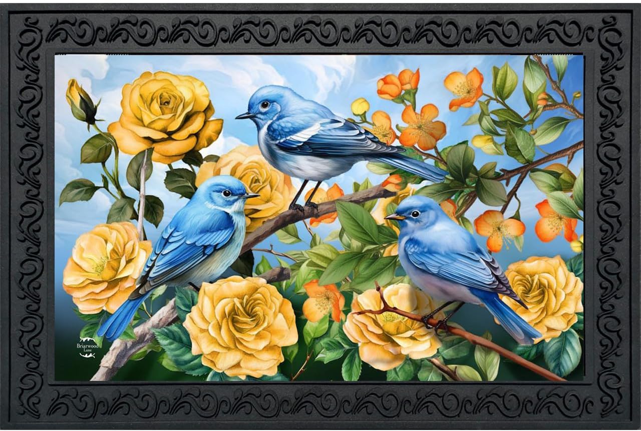 Briarwood Lane Hummingbird Feeder Spring Doormat
