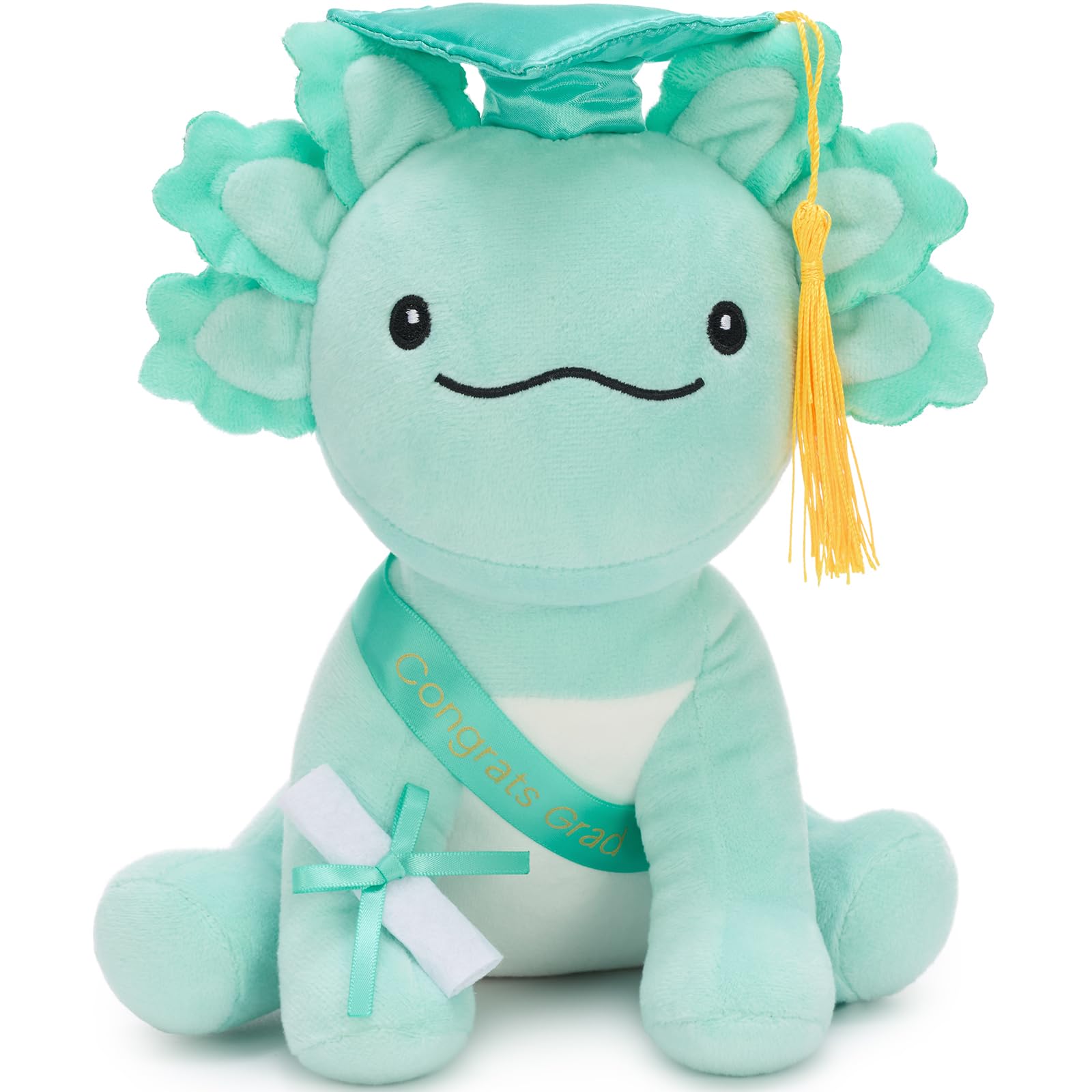 Amazon.com: Tezituor 2026 Graduation Axolotl Plush Toy, 8