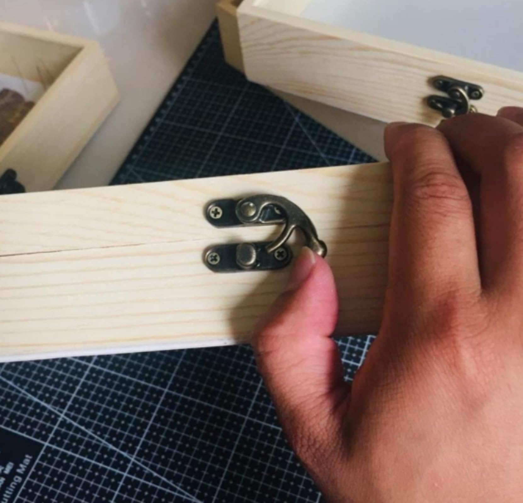 Amazon | 標本箱透明昆虫蝶標本箱 昆虫標本展示ボックス 蝶園