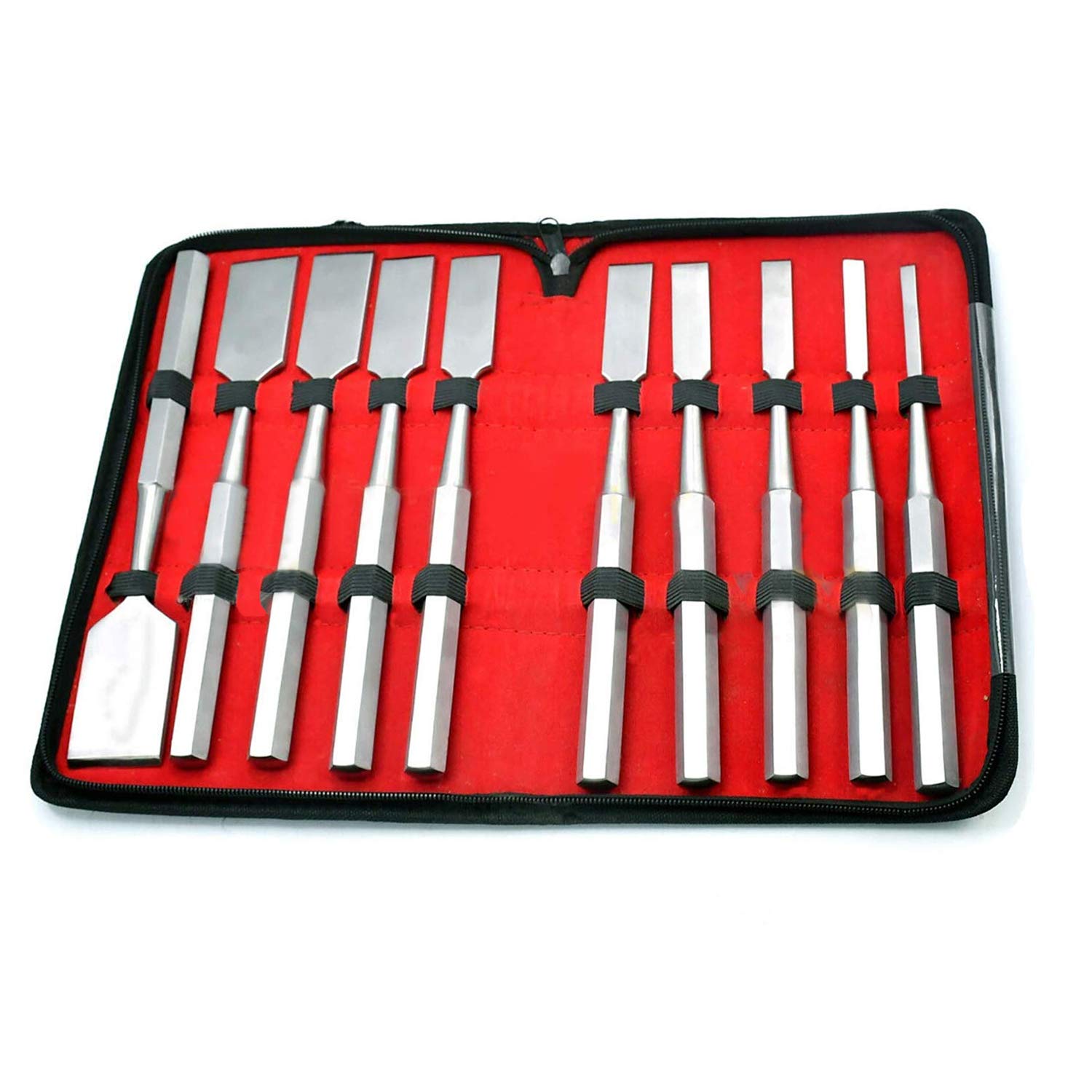 OdontoMed2011® 10 Pieces Set HIBBS Osteotome Orthopedic Instruments with Carrying CASE ODM