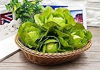 Zzooi Lifelike Artificial Cabbage Fake Vegetable - Realistic PVC Decor Prop, 3.9x5.1 Inches, 1 Head