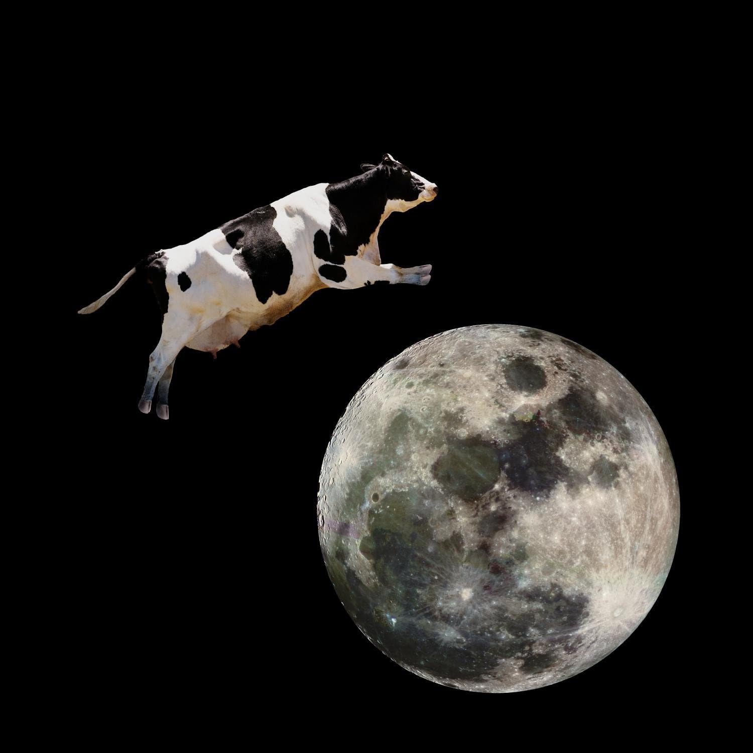 Wallmonkeys A Cow Jumping Over The Moon Wall Decal Peel and Stick Graphic WM350451 (24 in H x 24 in W)