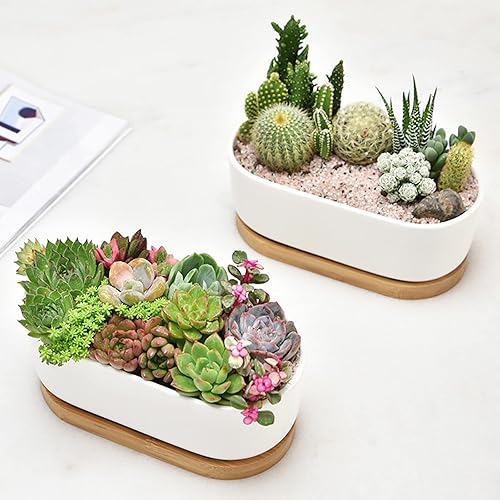 Miniatura 2 de Macetas de cerámica blanca para suculentas, macetas para plantas suculentas de interior y exterior, juego de 2 pequeños contenedores para cactus,
