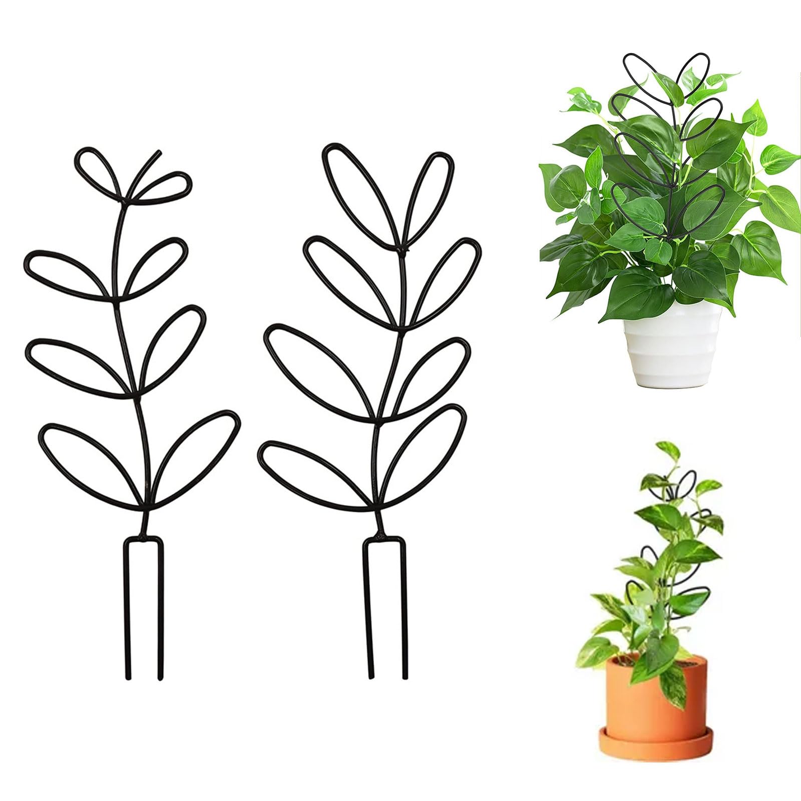 Deaunbr Treillis De Jardin Pour Plantes Grimpantes En Plein Air, Cage à