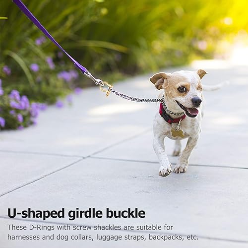 Miniatura 9 de EXCEART Anillos D Tornillo Anillos D Collar para mascotas Anillo D Tornillo en Grillete Semicírculo Anillo D Llavero Anillo D Anillo D - Anillo para
