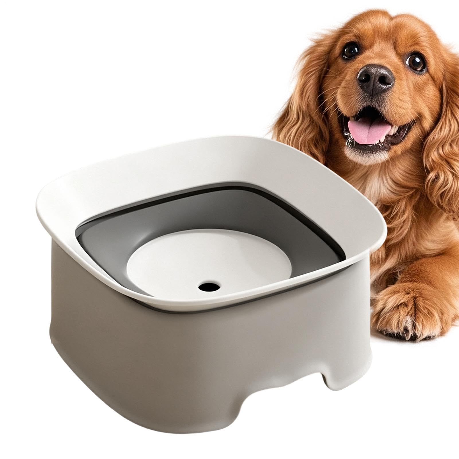 Abreuvoir anti-déversement pour chiens et grand bol d'eau de cuisine