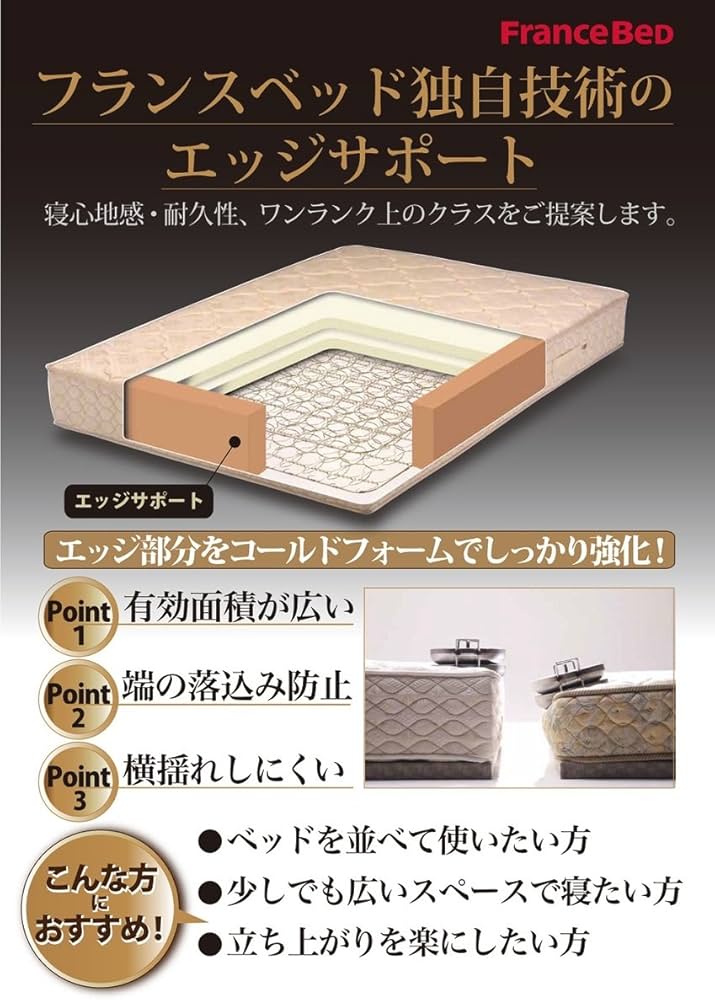 フランスベッドのリクライニング機構内蔵マットレス　RP-2000BAE フランスベッド 電動リクライニング マットレス RP-2000 BAE 【公式通販】