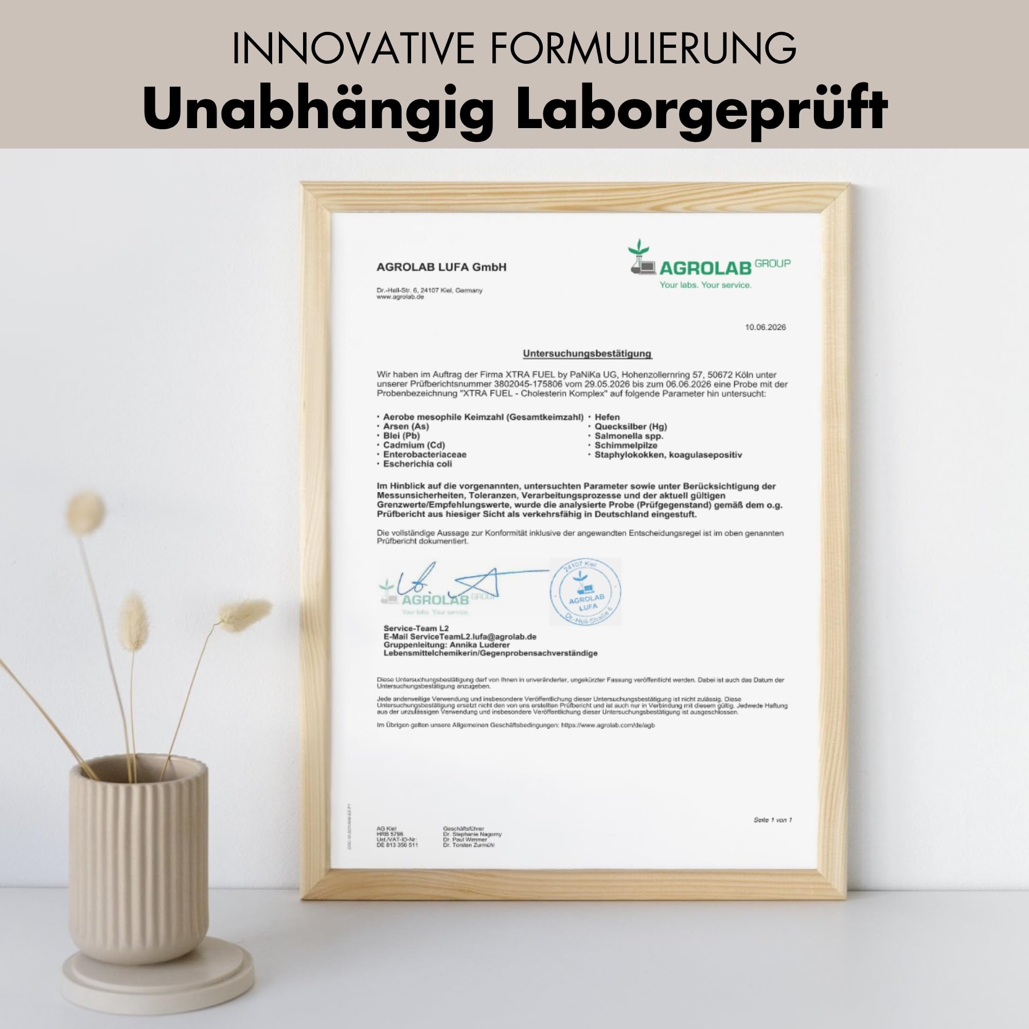 Cholesterin Komplex mit Pflanzensterolen & Cholin – 180 vegane Kapseln (hochdosiert) – Bergamotte, Artischocke & Rotschimmelreis Extrakt mit Monacolin K – vegan & laborgeprüft