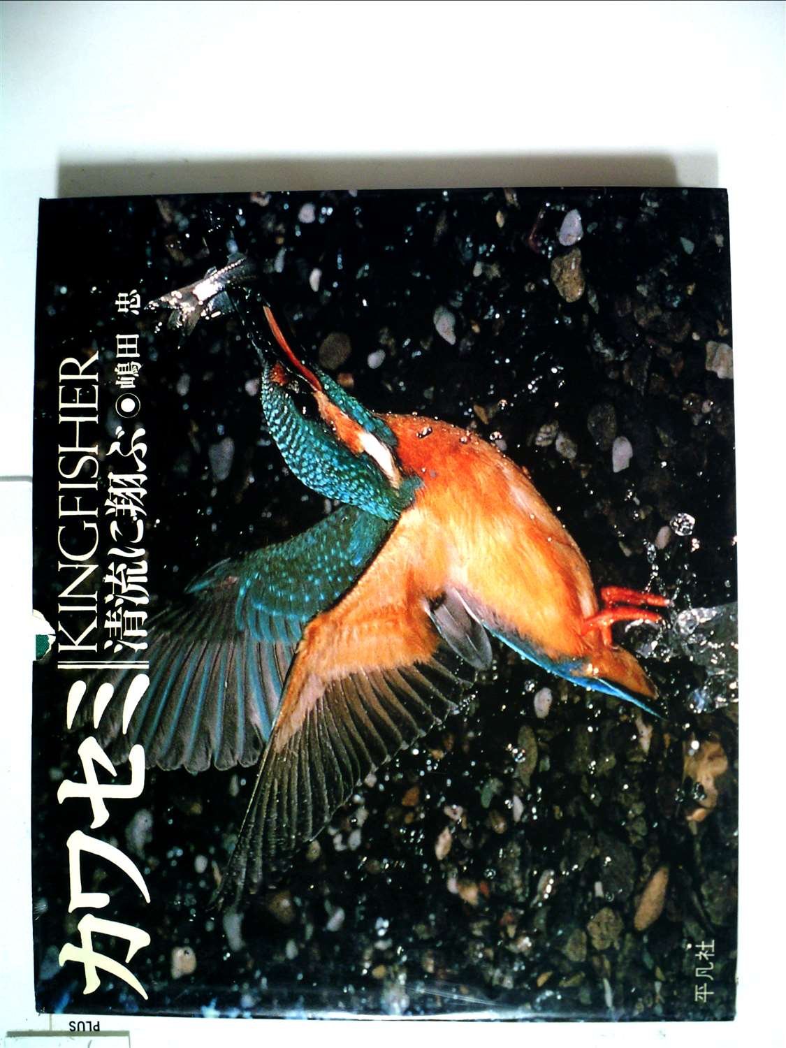 古伊万里　カワセミ 71zSThjtkkL.jpg