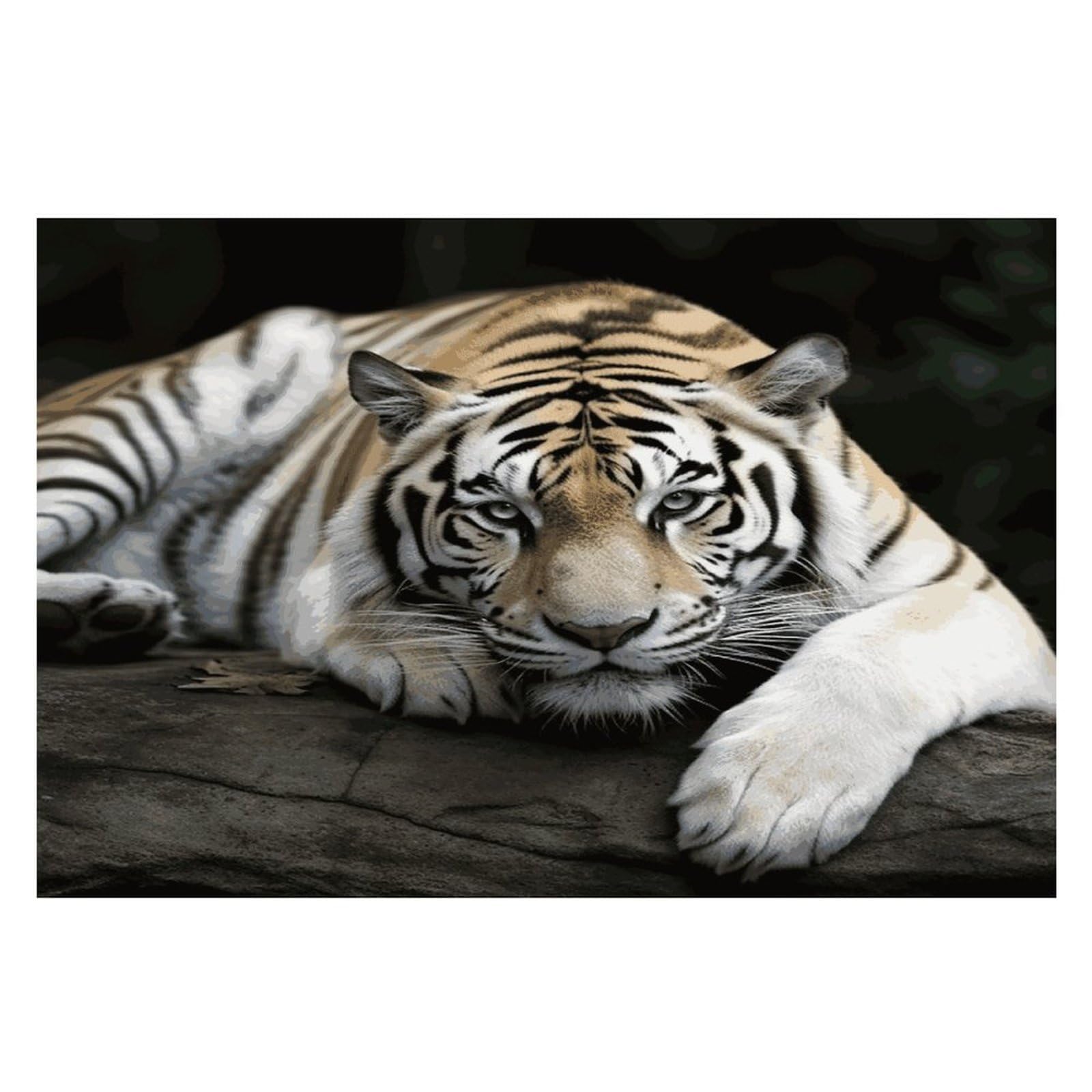 Tiger Lie On Rock Placemats Heat-Resistant Washable Place Mats Anti Slip Dining Table Place Mats Wipeable Dining Table Mats Kitchen Decoration Placemats 17.7’’×11.8’’