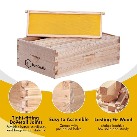 BeeCastle 8 Frame Medium Super Bee Hive Box, Langstroth Honey Bee Hive Include Beehive Frames and Waxed Foundations (Unassembled)