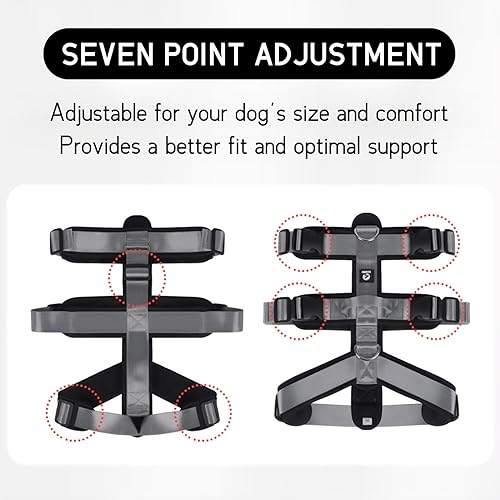 Miniatura 3 de LAVAMOND Arnés grande para perro, sin tirones, a prueba de escapes, con asa, 4 hebillas, 2 anillos, acolchado suave, antideslizante, ajustable,