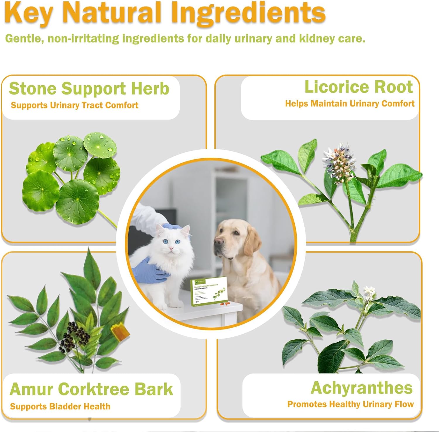 Stone Breaker for Dogs & Cats – Crystal Flush Urinary Tract Supplement, Bladder Stone & Kidney Support for Dogs and Cats