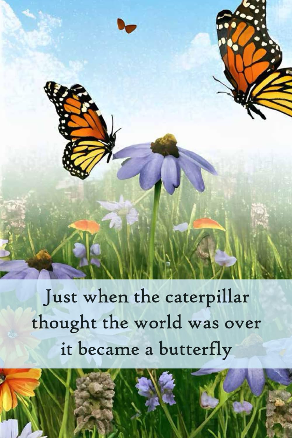 Just when the Caterpillar thought the world was over it became a ...
