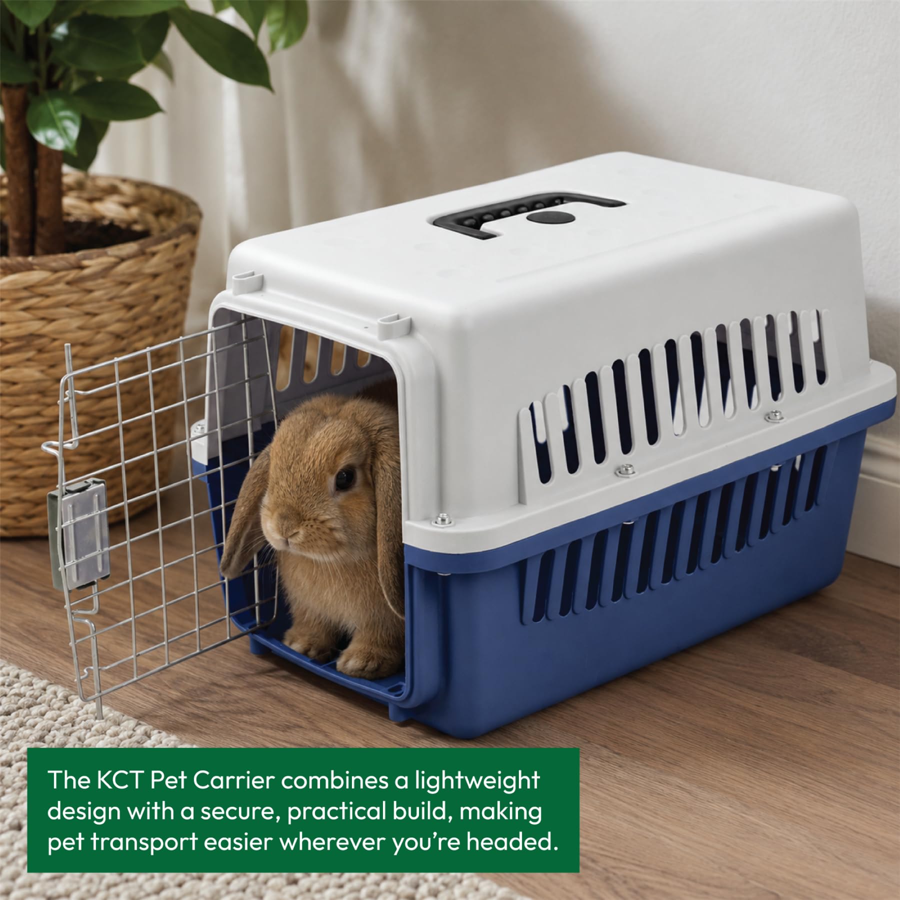 KCT Small Blue Plastic Cat Carrier Cage Crate for Pet/Dog/Kitten/Puppy | Portabl