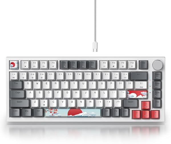 SOLIDEE Tastiera Meccanica Sostituibile a Caldo cablata al 75%,retroilluminazione RGB con interruttore rosso,TKL a 82 tasti,tastiera compatta NKRO con manopola di controllo del volume(82 Grey_White) - 2