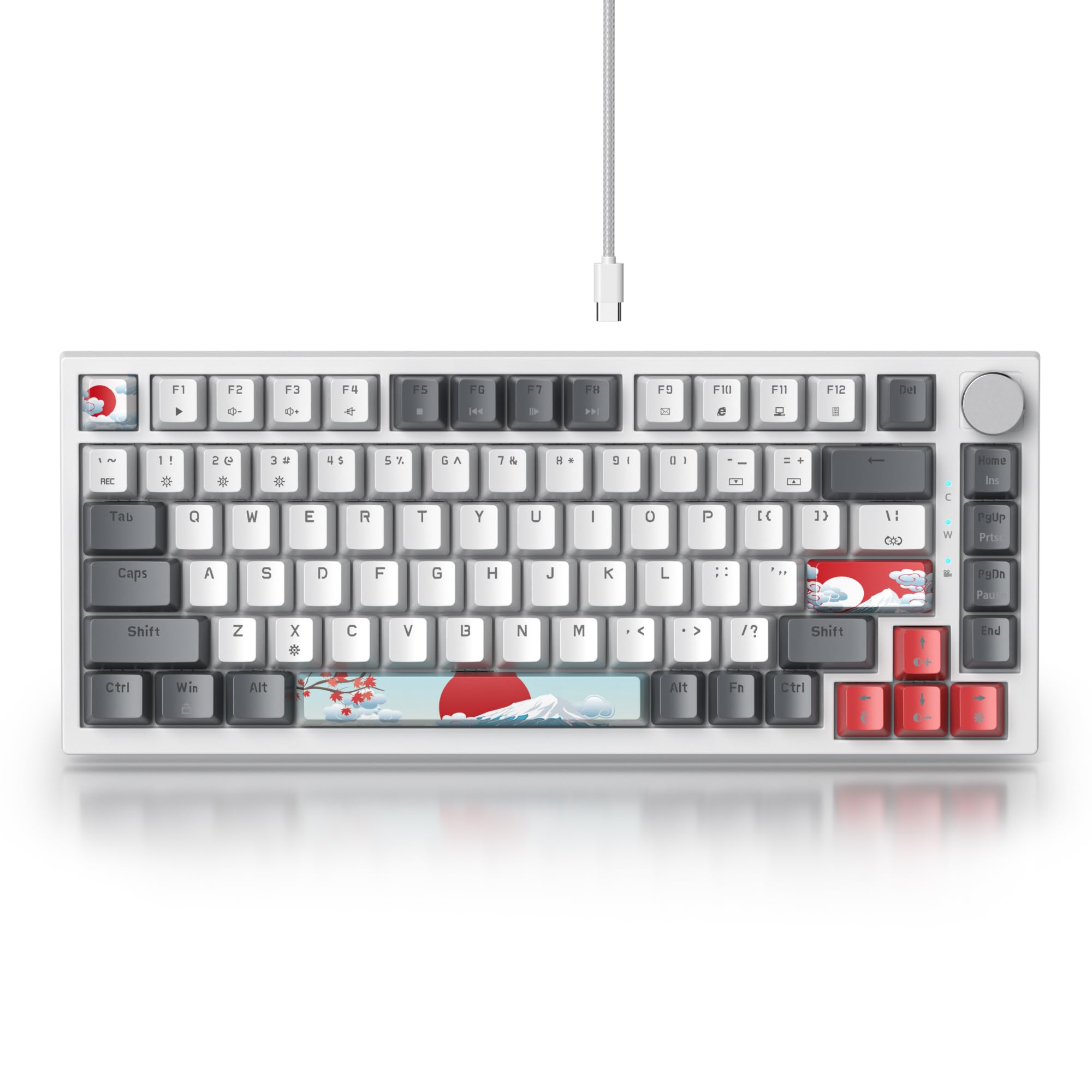 SOLIDEE Tastiera Meccanica Sostituibile a Caldo cablata al 75%,retroilluminazione RGB con interruttore rosso,TKL a 82 tasti,tastiera compatta NKRO con manopola di controllo del volume(82 Grey_White) - 3