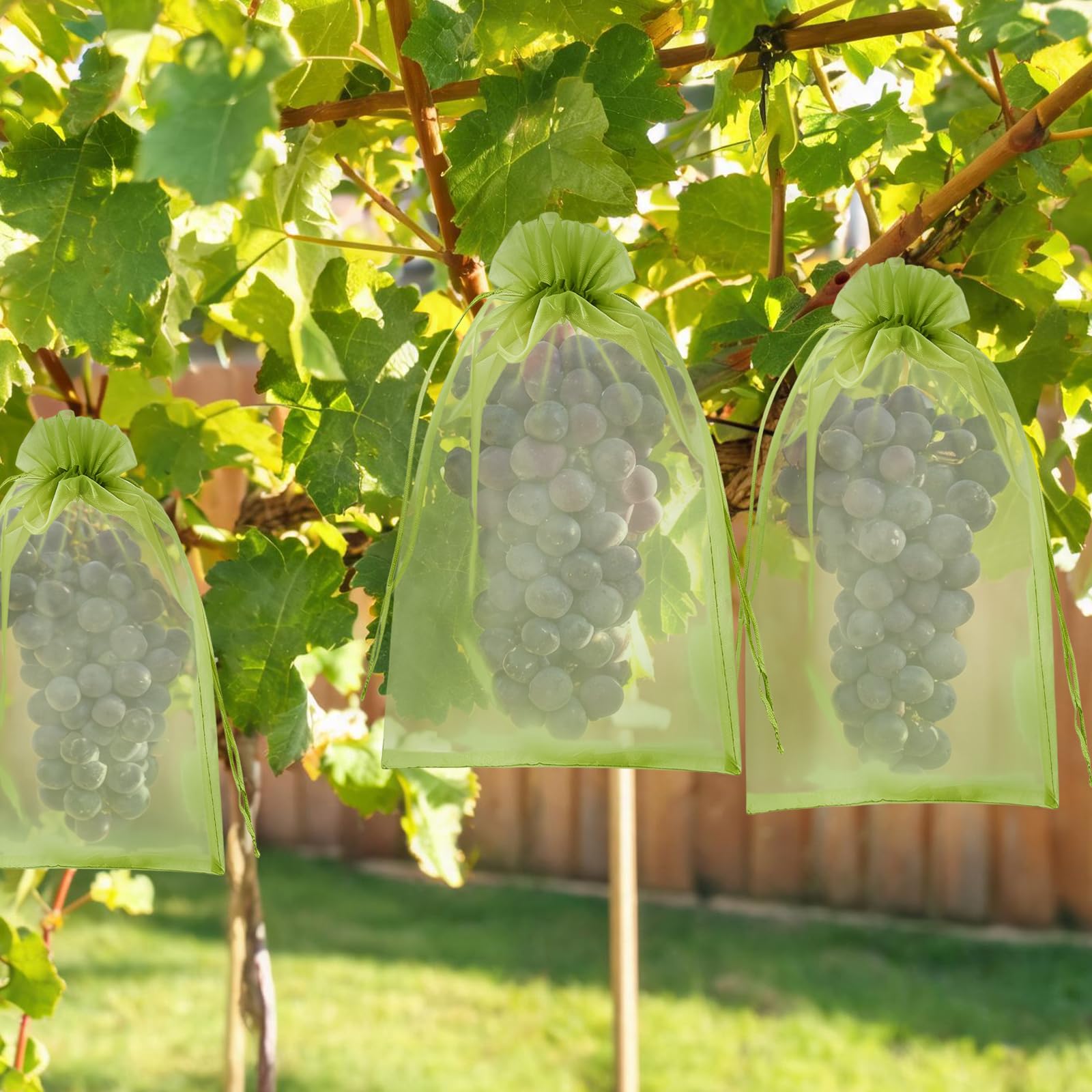 KATELUO Sacchetti di Protezione per Uva 20 x 30 cm, 100 Pezzi Sacchetto di Protezione Della Frutta, Sacchetti Organza con Coulisse per Frutta da Giardino Tengono Lontani Moscerini Vespe e Uccelli