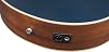 Ibanez AE100-DBF Solid Sitka Spruce Top