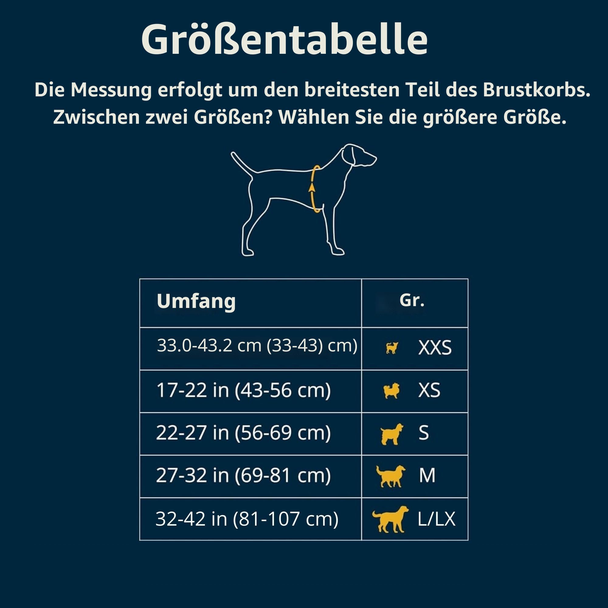 Ruffwear Front Range Hundegeschirr, reflektierendes Y-Geschirr, verstellbares, bequem gepolstertes Alltagsgeschirr für Spaziergänge und Hunderennen, 2 Leinenbefestigunge, Coastal Mountains XS