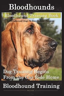 Bloodhounds, Bloodhound Training Book For both Bloodhound Dogs & Bloodhound Puppies By D!G THIS DOG Training: Dog Training Begins From the Car Ride Home Bloodhound Training