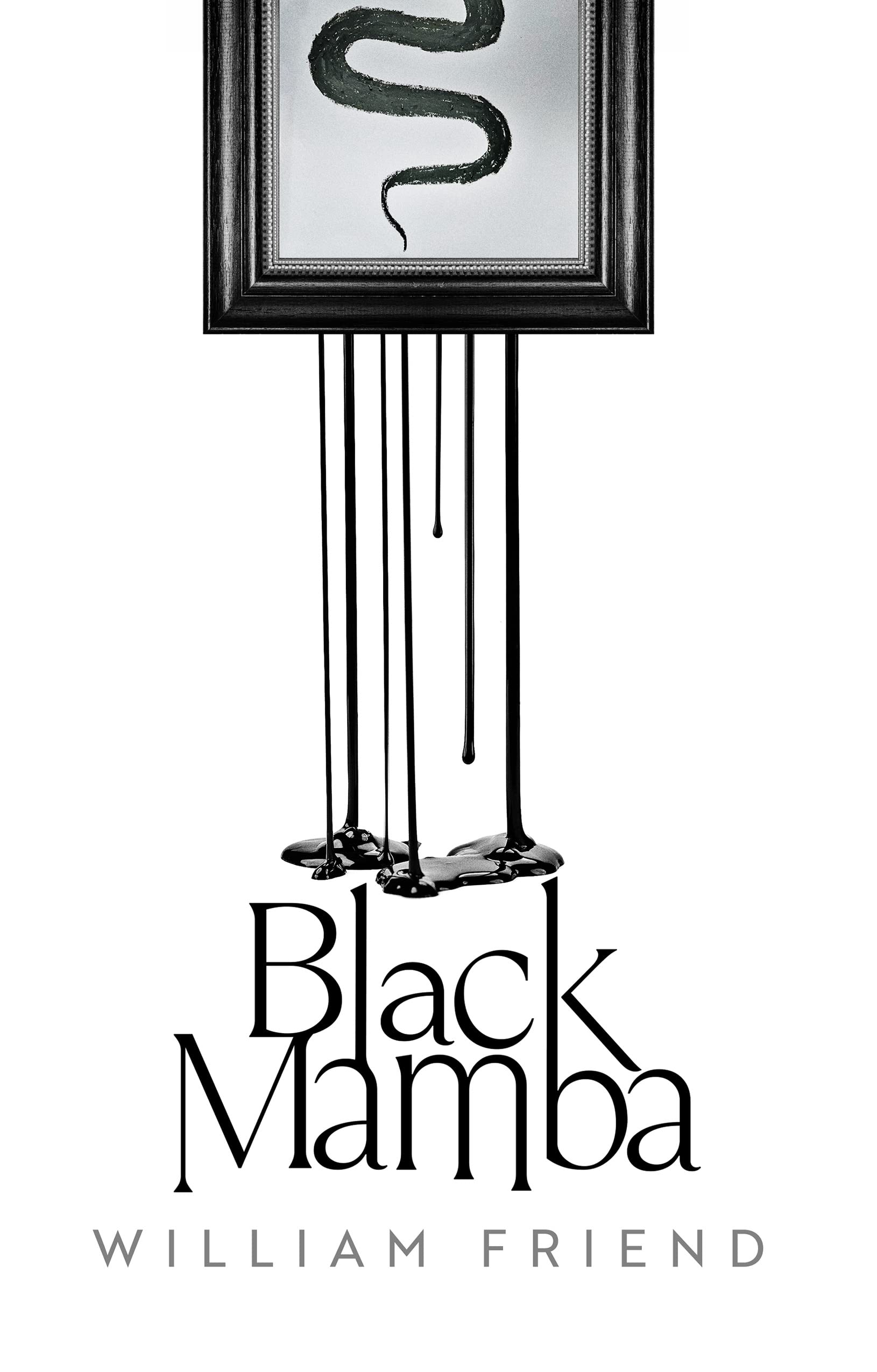 Black Mamba by William Friend HARDBACK 9781838956554
