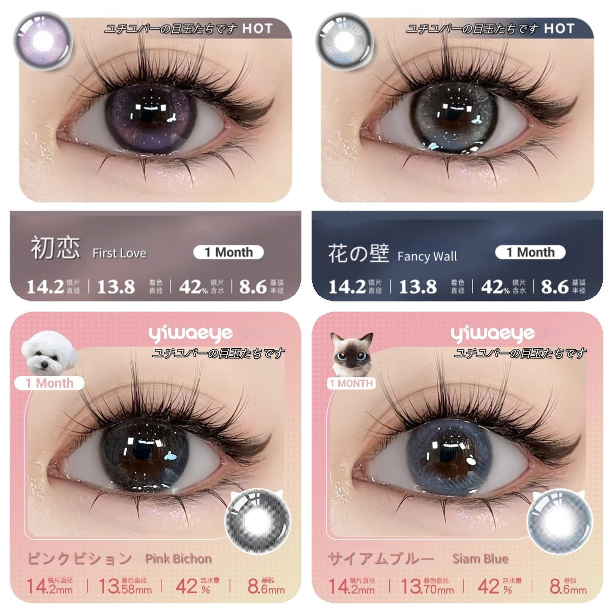 EYE TO EYE,アイ・トゥ・アイ,AOR,STEELY DAN,新品未開封 Amazon | YIWAEYE 水光レンズ カラコンカラーコンタクト