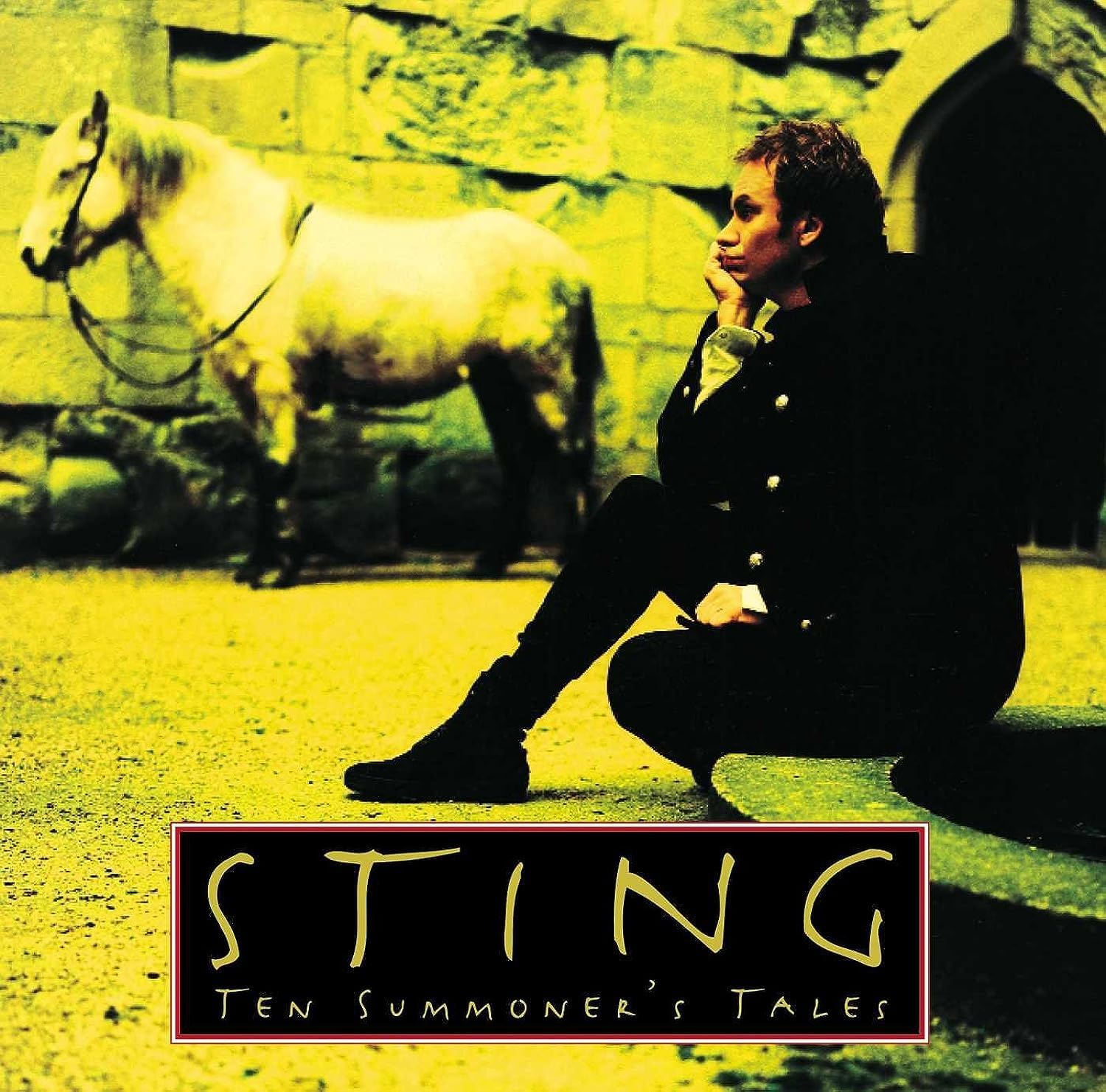 Ten Summoner's Tales por Sting — capa do álbum