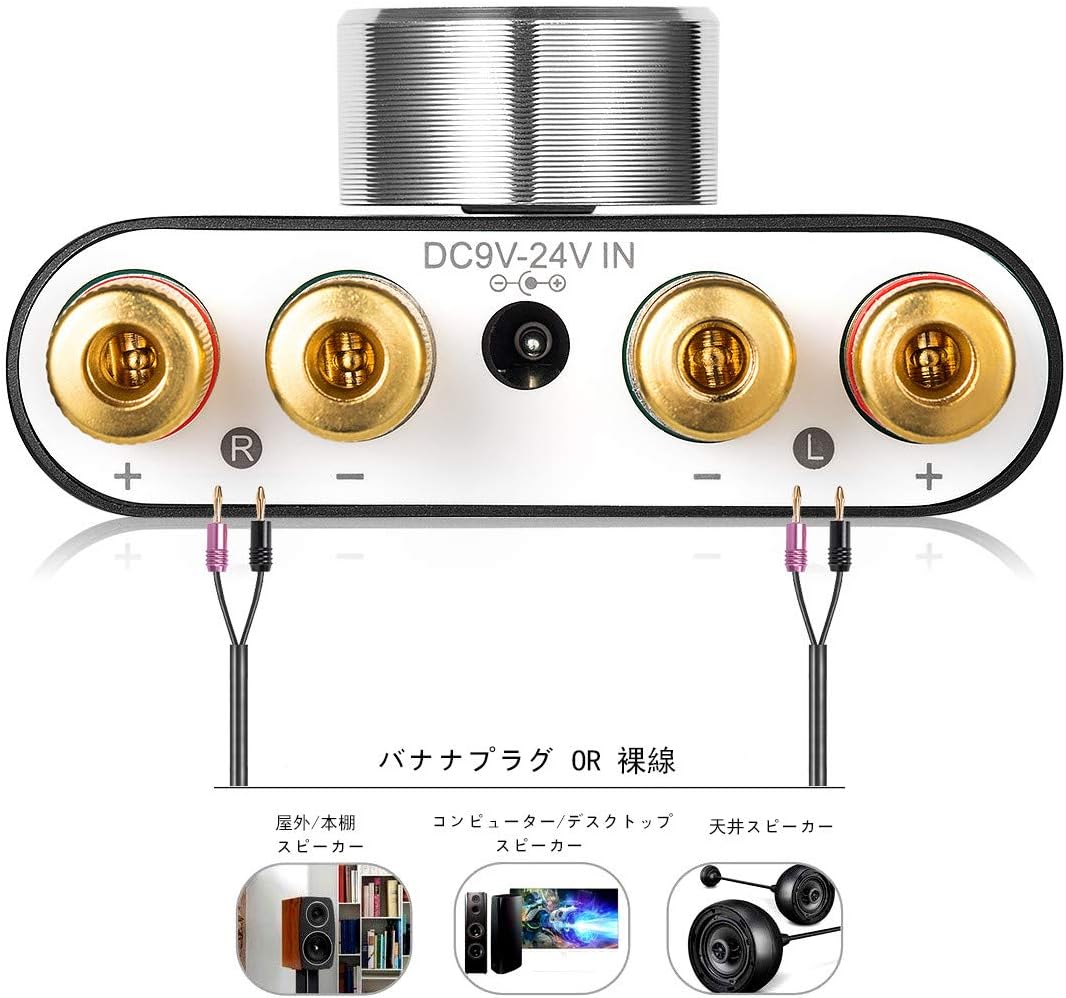 Rear panel of Nobsound NS-01G Pro showing speaker terminals and DC power input