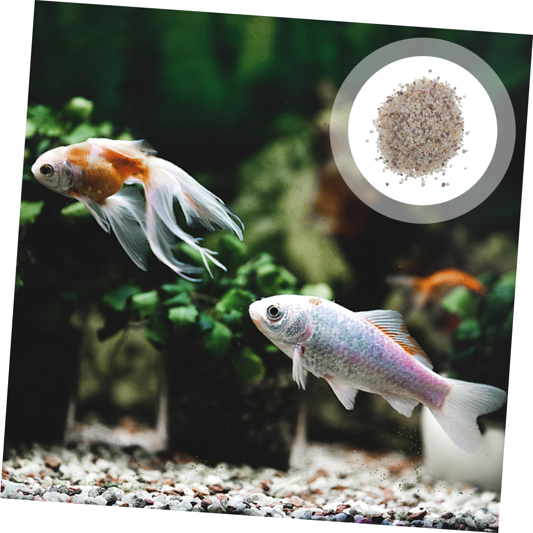 Aquarium Rocks Gravier Aquarium Galets Décoratifs Naturels Polis Petits pour Aquariums