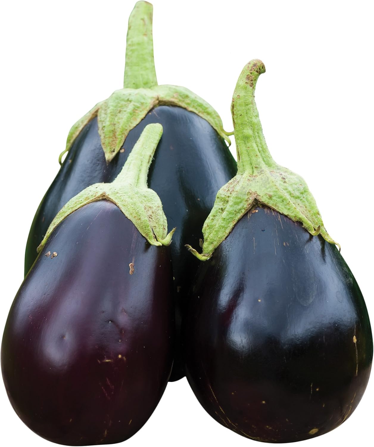 Burpee Early Midnight Eggplant Seeds 35 seeds Patio