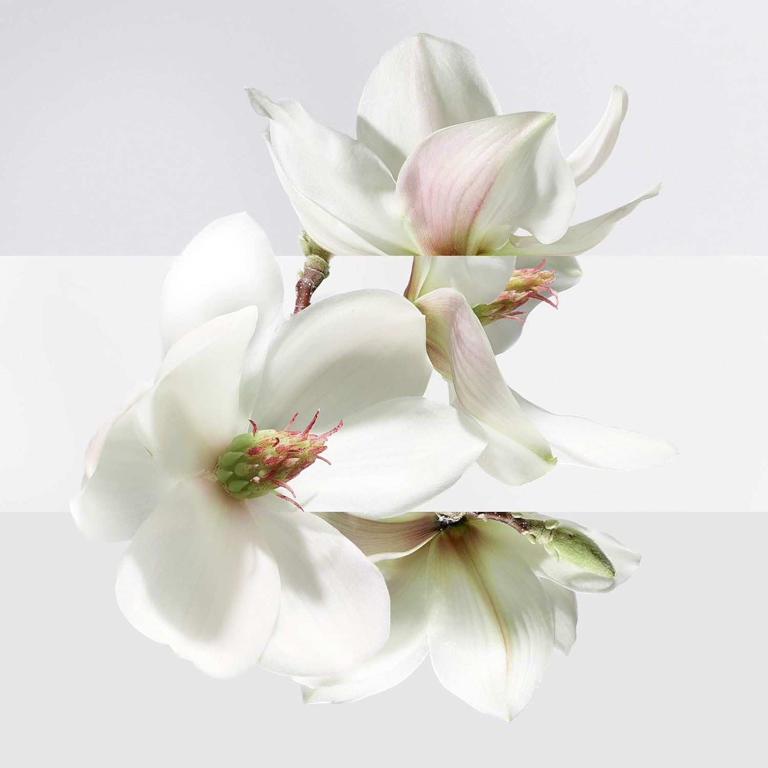 Un Jardin Sur La Lagune by Hermes for Women 3.3 oz Eau de Toilette Spray - Image 4