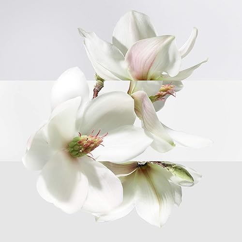 Miniatura 9 de HERMES Un Jardin Sur La Lagune Unisex 1.6 oz EDT Spray