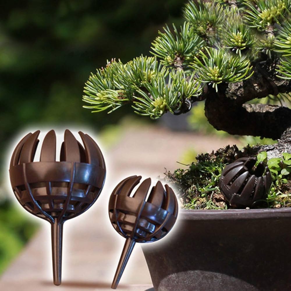 88opqo88　ビカクシダP. OMG spore+肥料バスケット3個 88opqo88様専用 ビカクシダP. OMG spore+肥料バスケット3個