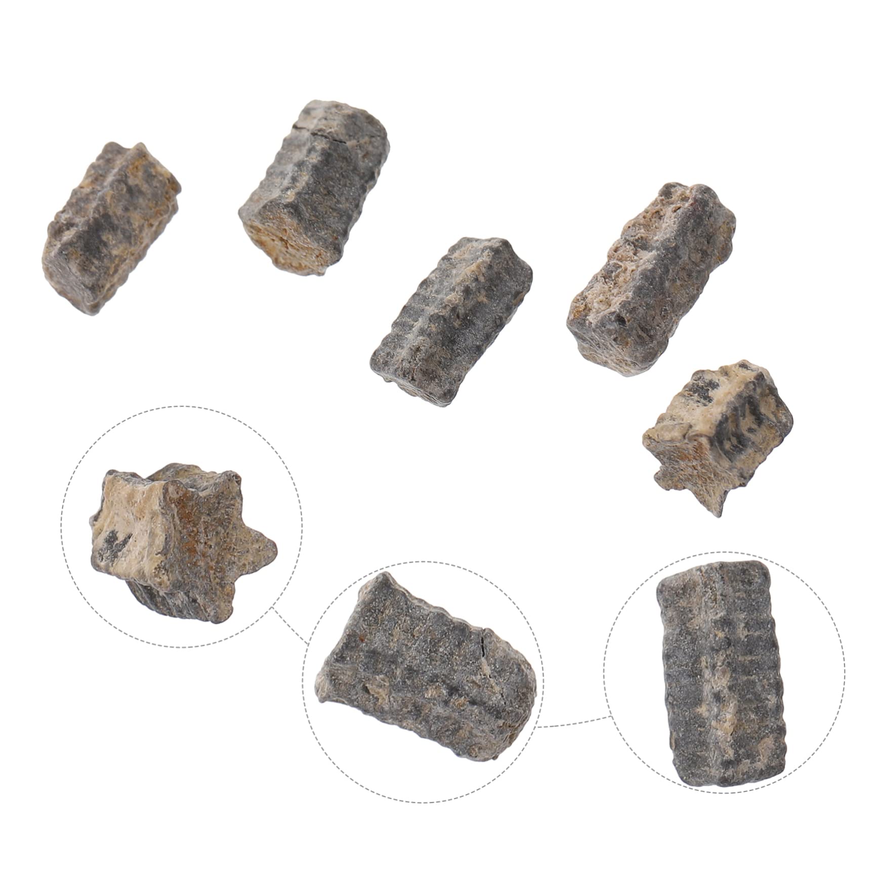 PartyKindom Educational Plaything: Realistic Sea Supplies Develop Creativity for Children