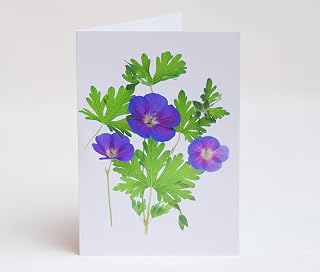 Flowerlets - Notelets – Thank you Cards - Pack 5 with Envelopes - Geranium Flower - Blank Inside - Sold exclusively by AM Fine Art GB