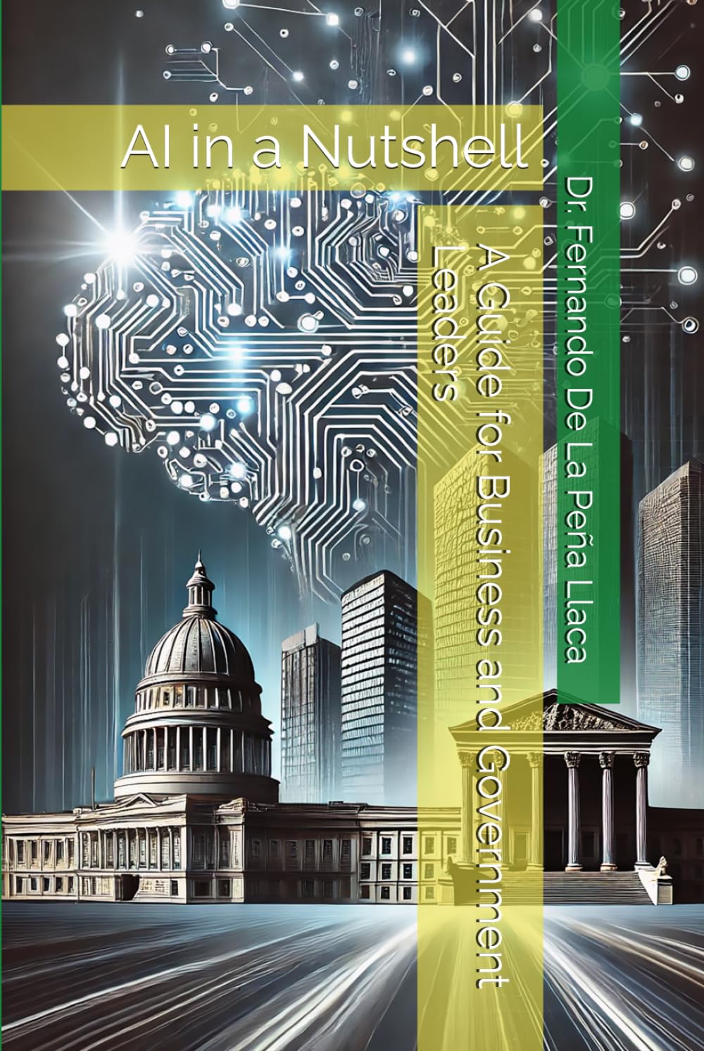 AI in a Nutshell: A Guide for Business and Government Leaders: A Guide for Business and Government Leaders