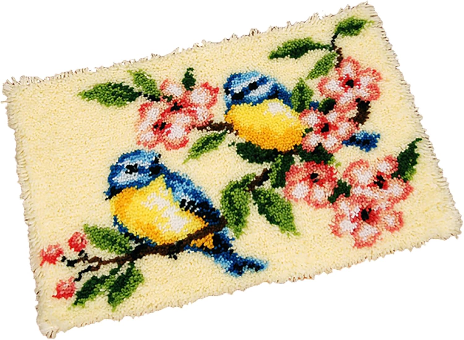 Latch Hook Kits for Adults 20.5 X 15 Inch DIY Needlework Unfinished Crocheting Rug Kit with Color Preprinted Pattern,Zd612